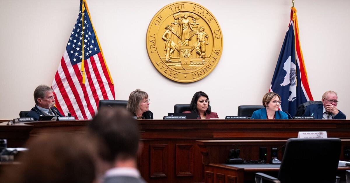 Wyoming bill protecting pregnancy centers advances