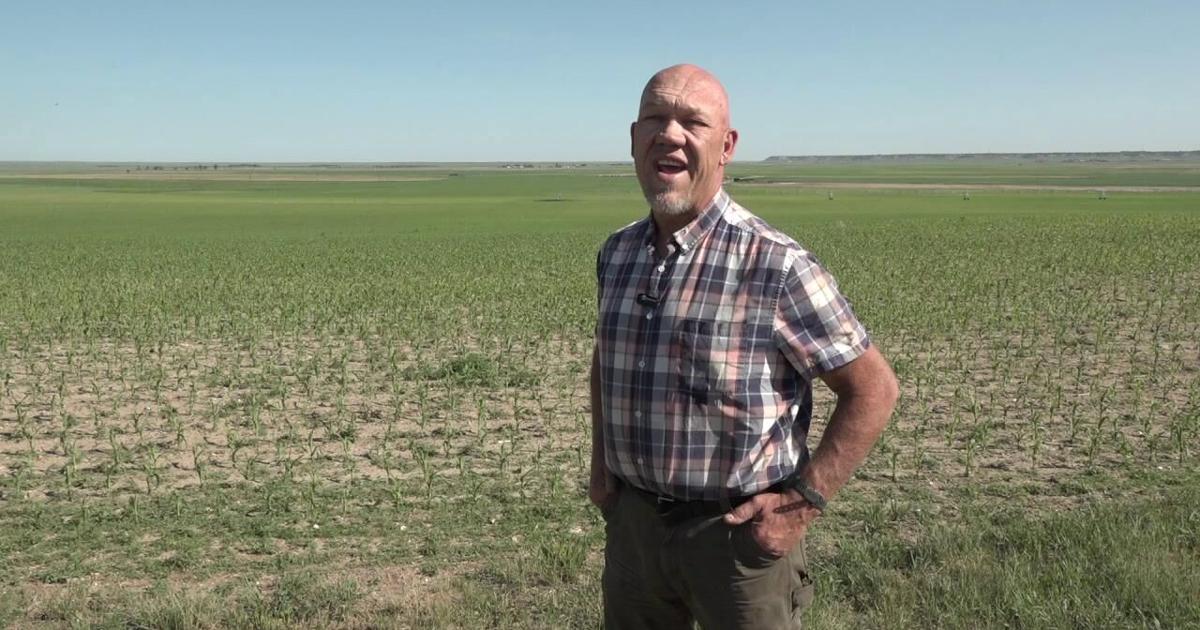 How is recent rainfall impacting Wyoming farms?