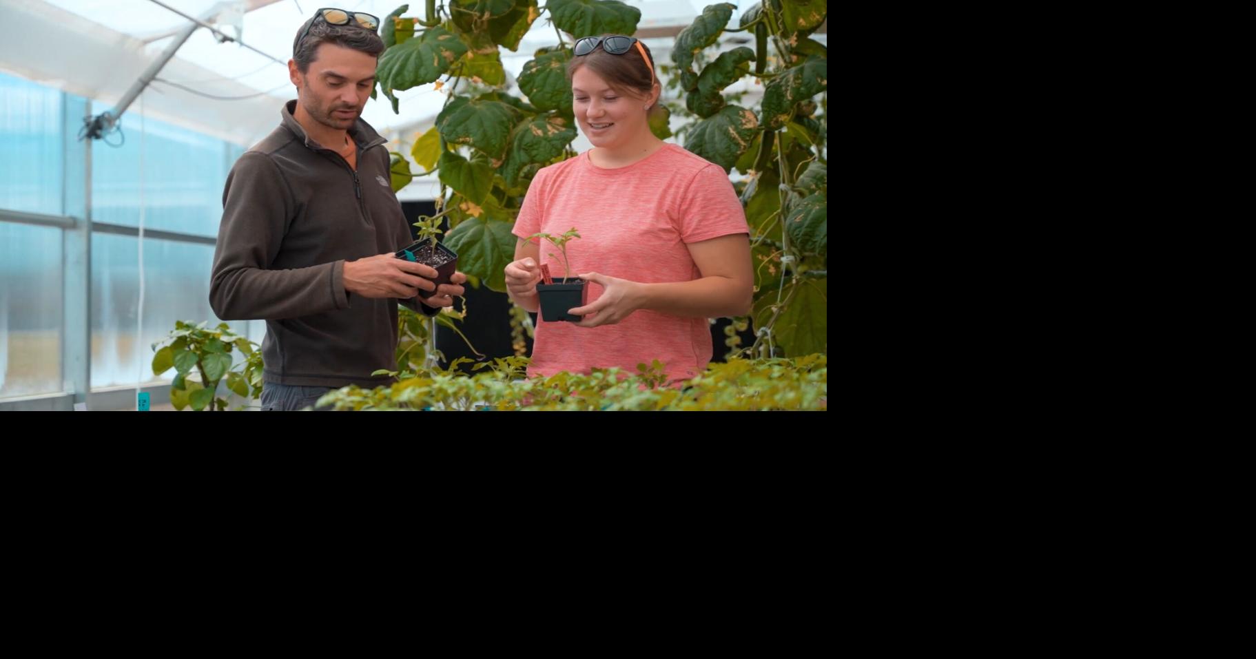 CWC positions controlled environment agriculture program as Wyoming's workforce and food innovation hub