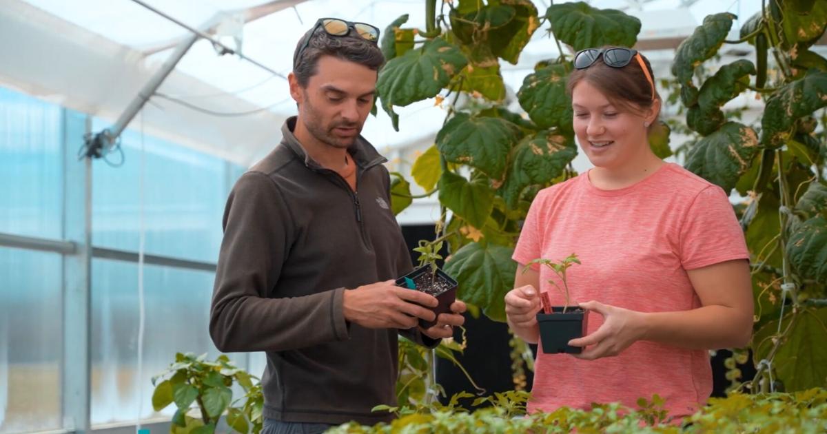 CWC positions controlled environment agriculture program as Wyoming's workforce and food innovation hub