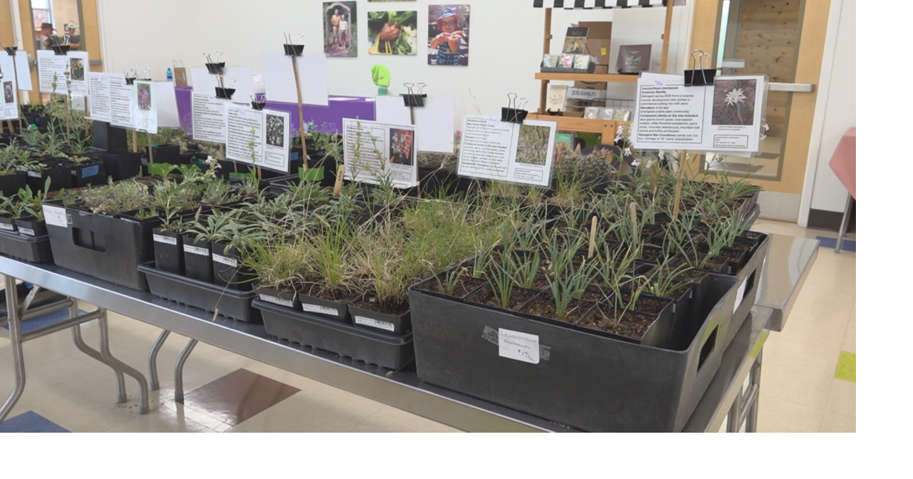 WATCH: A look into Cheyenne Botanic Gardens Rock Garden (and other plants) sale