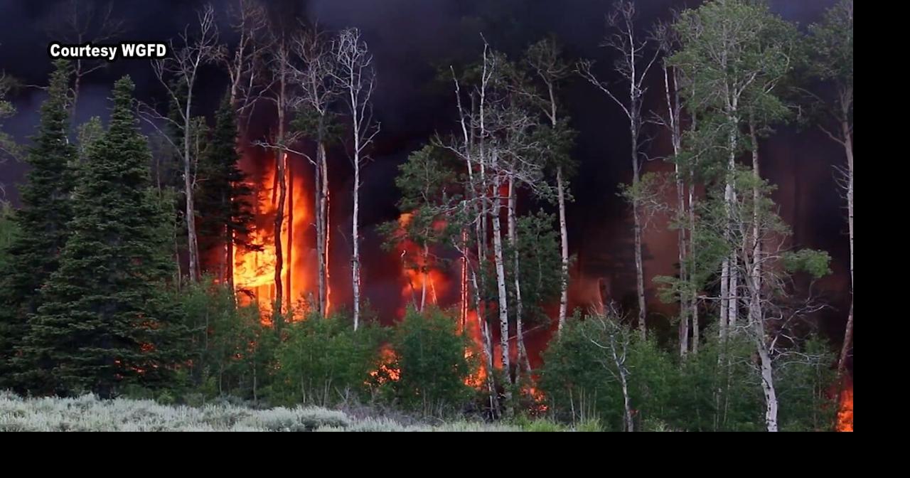 Wyoming State Forestry Division holds preparation meeting ahead of wildfire season