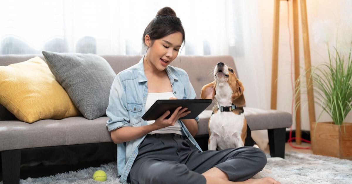 How to Make ‘Financial Wellness' Work for You Kimberly Palmer May 28, 2026 3 mins ago