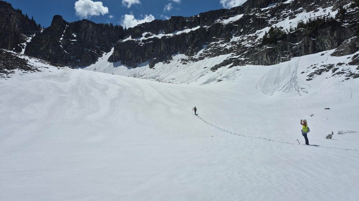 University of Wyoming student finds new order of insect in Yellowstone ...