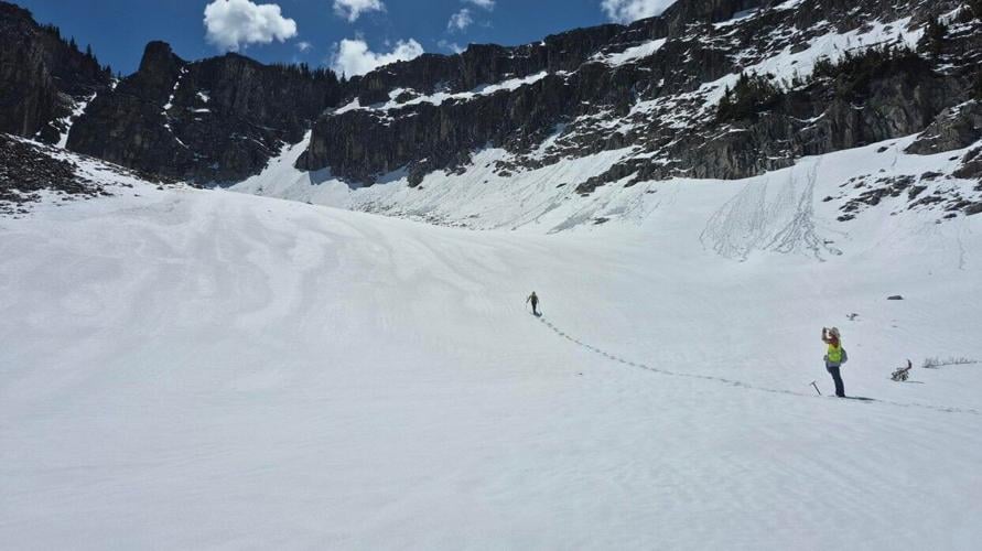 University of Wyoming student finds new order of insect in Yellowstone ...