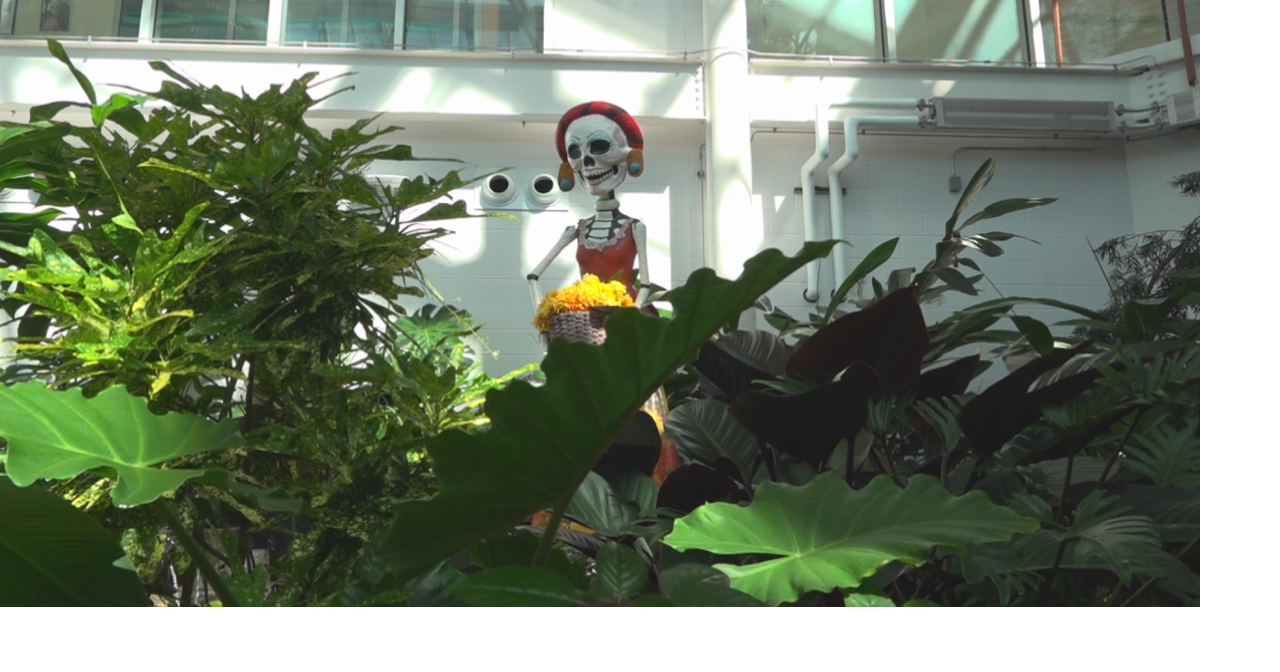 Cheyenne Botanic Gardens celebrates Día de los Muertos
