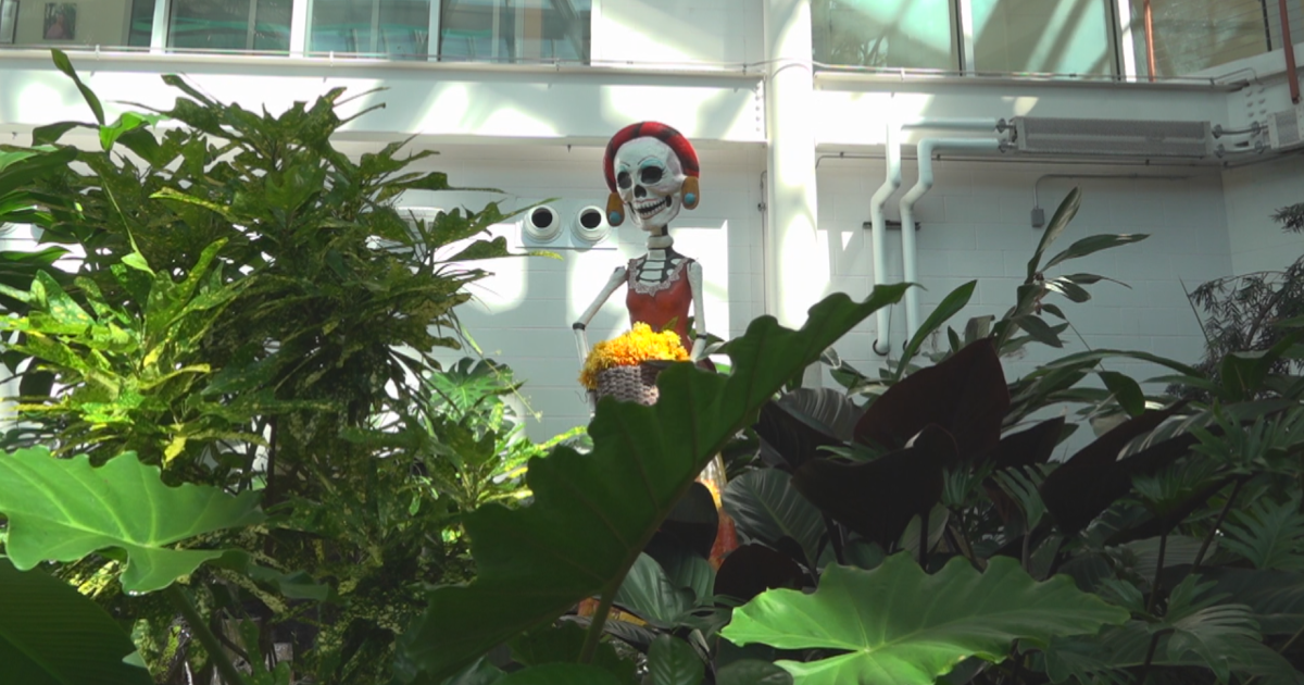 Cheyenne Botanic Gardens celebrates Día de los Muertos