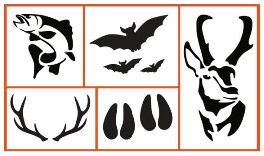 Wildlife Stencils Now Available for Halloween Pumpkins | News ...