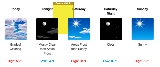 Freeze Watch in effect for Friday Night | News | wyotoday.com