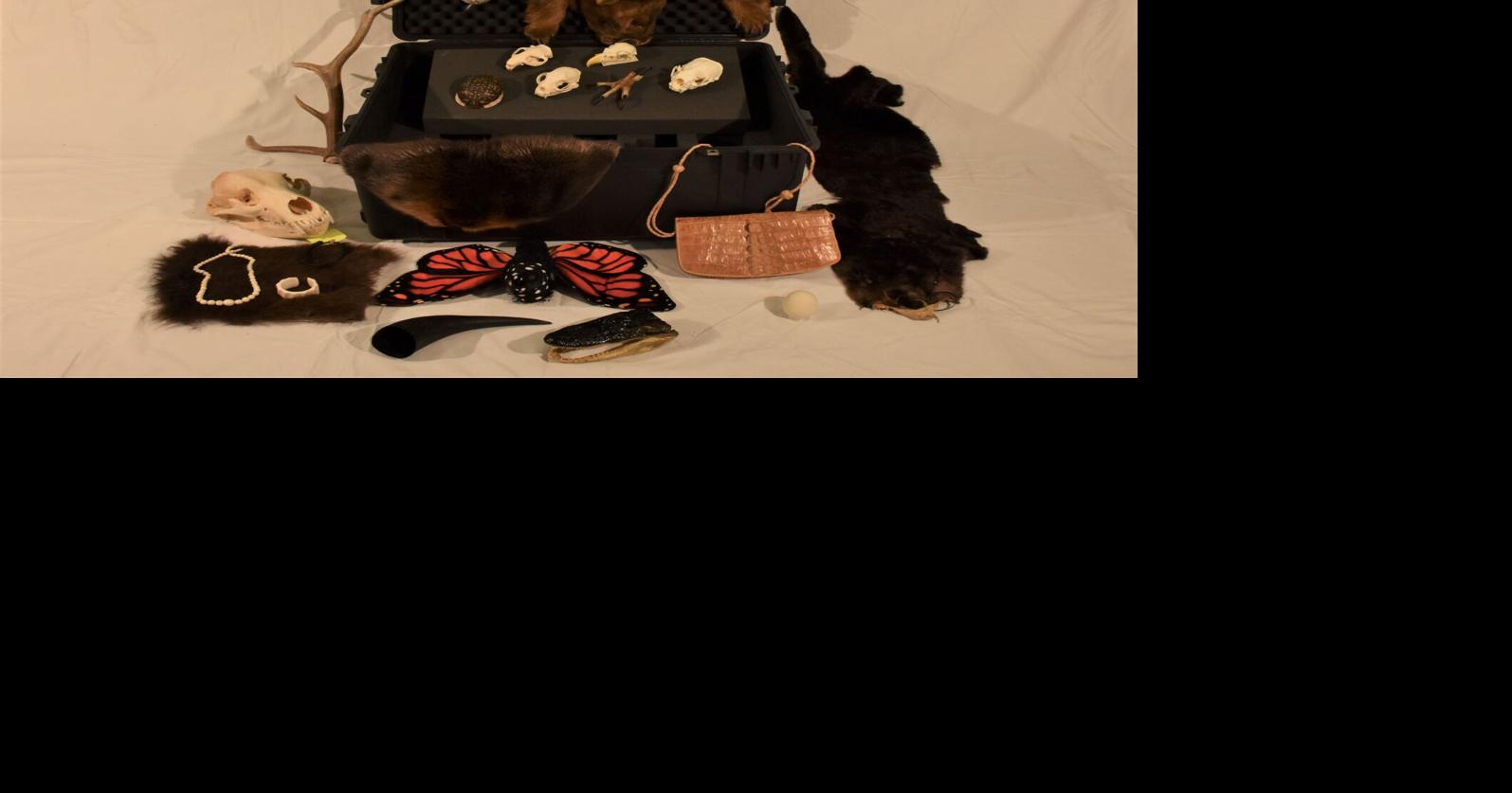 Wildlife Foundation funds Two new traveling educational trunks for