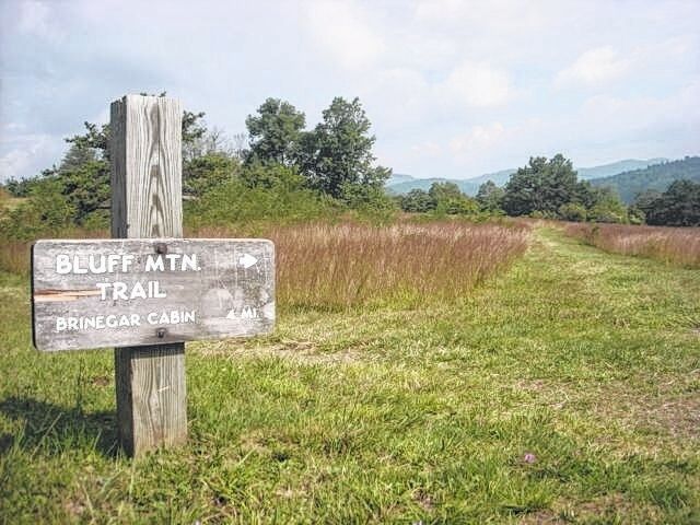 Doughton Park largest rec along Blue Ridge Parkway | Lifestyles ...