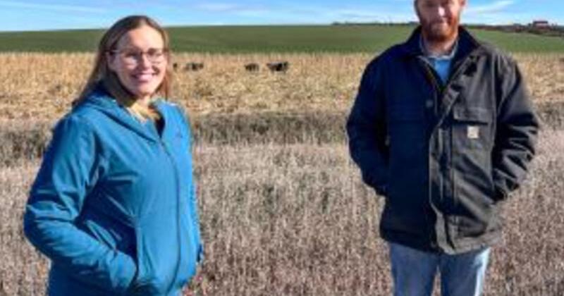 Cedar County Operator Redefines Traditional Agriculture Through Conservation - Vimarsana News