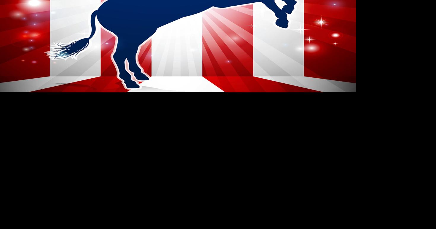 Democrats Fail To Field Candidates For Majority Of SD Legislative Seats
