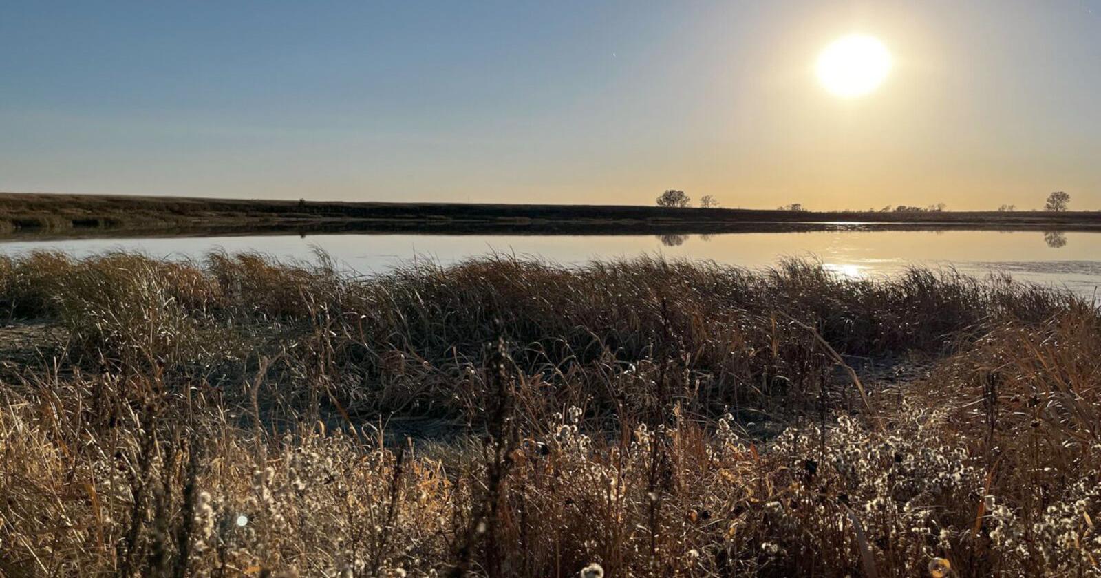 Court's Wetlands Decision Has SD Water Advocates Worried | Community - Vimarsana News