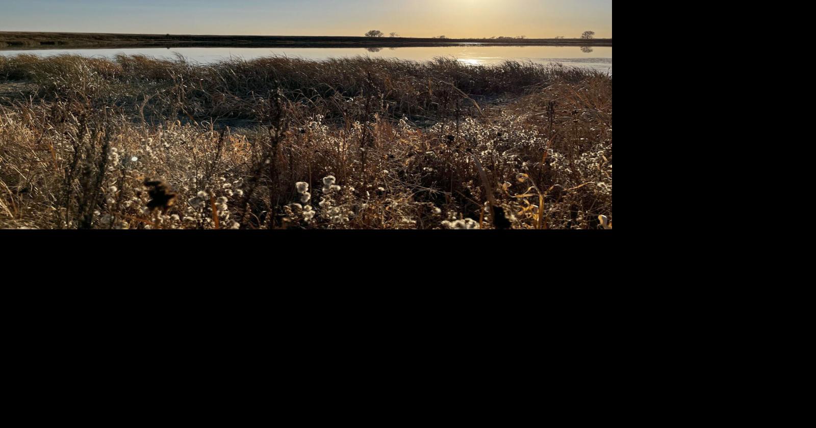 Court’s Wetlands Decision Has SD Water Advocates Worried Community