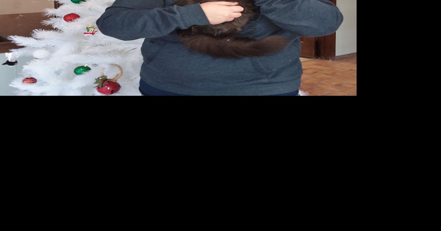 Artistic Auction Community