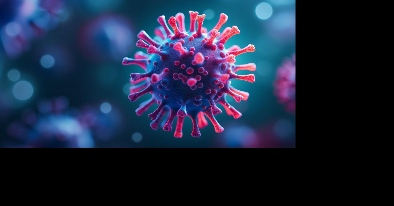 Husker Researchers Develop Promising New Vaccine Against Bird Flu