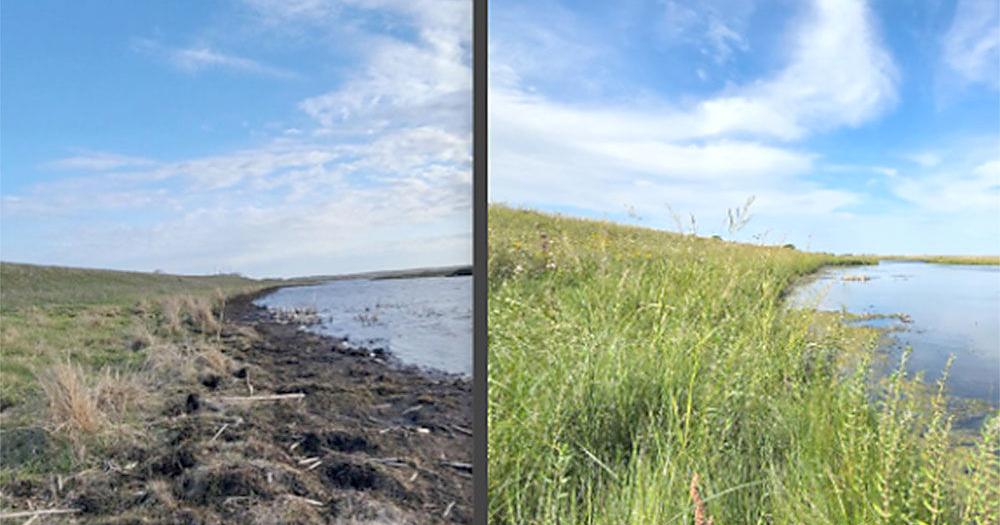 Report Shows Results Of River Buffer Program