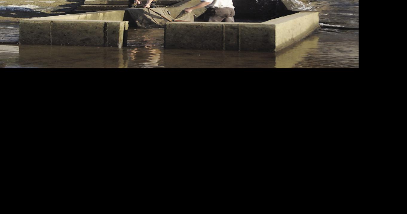 A Bumper Crop At GP Fish Hatchery Community