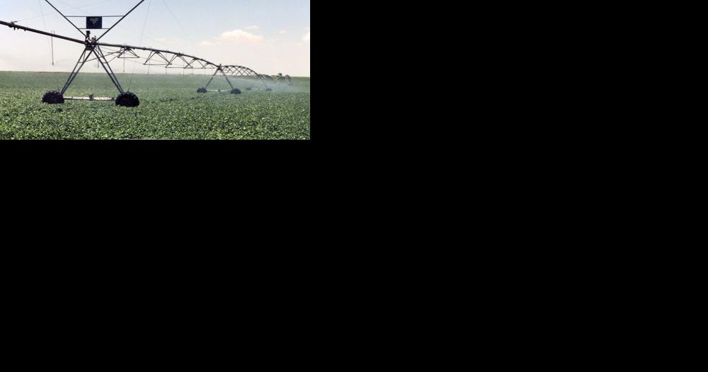 Central Nebraska Utilities Say Merger Would Be Helpful, But Not Essential, To Massive New Fertilizer Plant - Vimarsana News