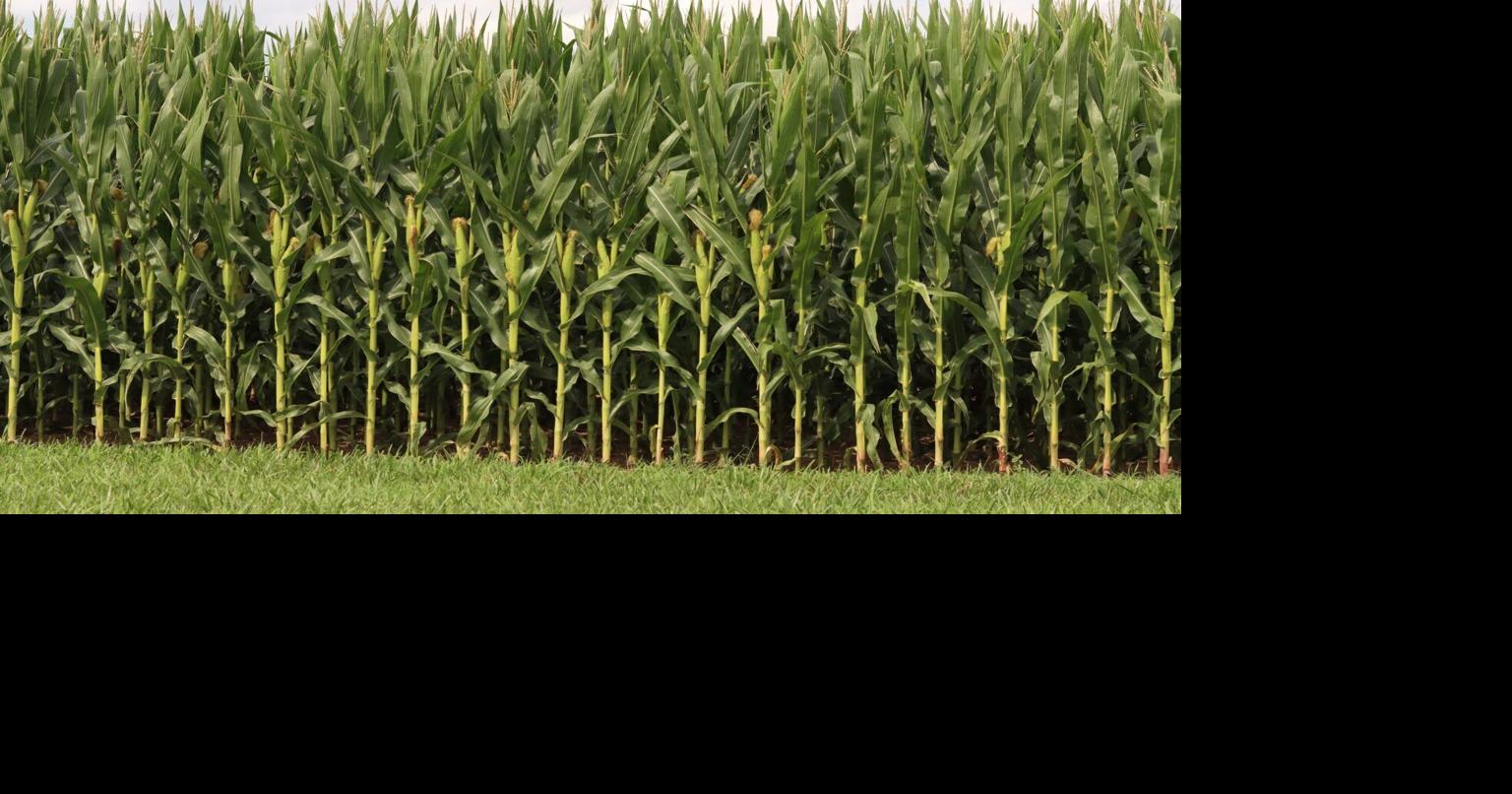 War In Middle East Causes Further Stress On US Farmers