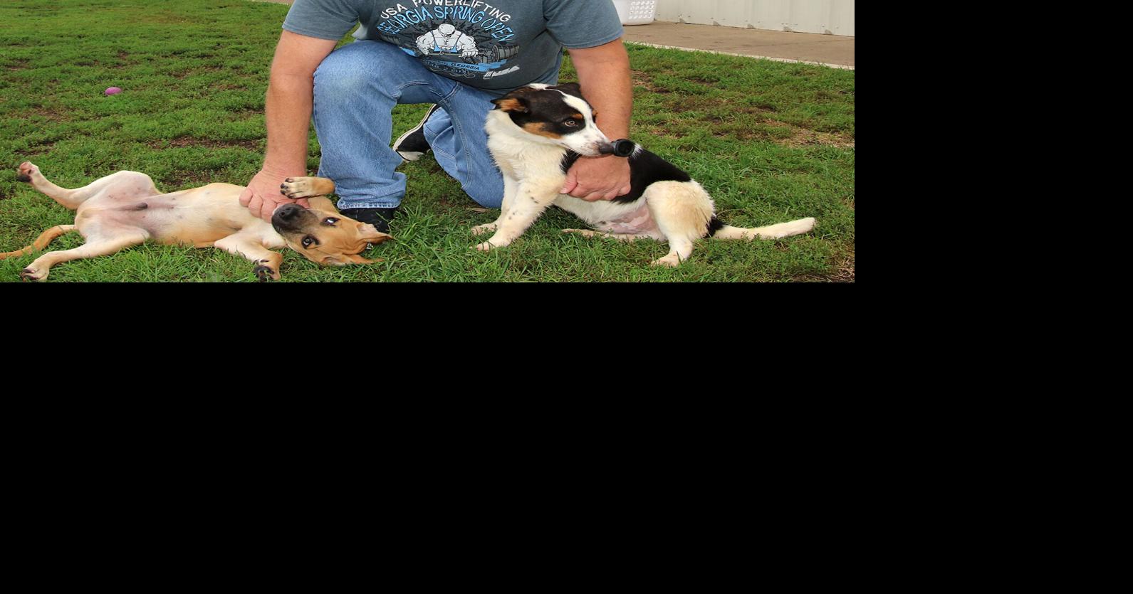 Shelter From The Storm Community