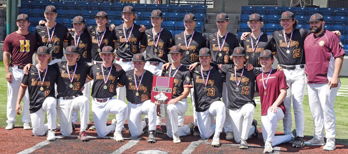 gold-mines-past-brookings-for-legion-baseball-title-sports-yankton