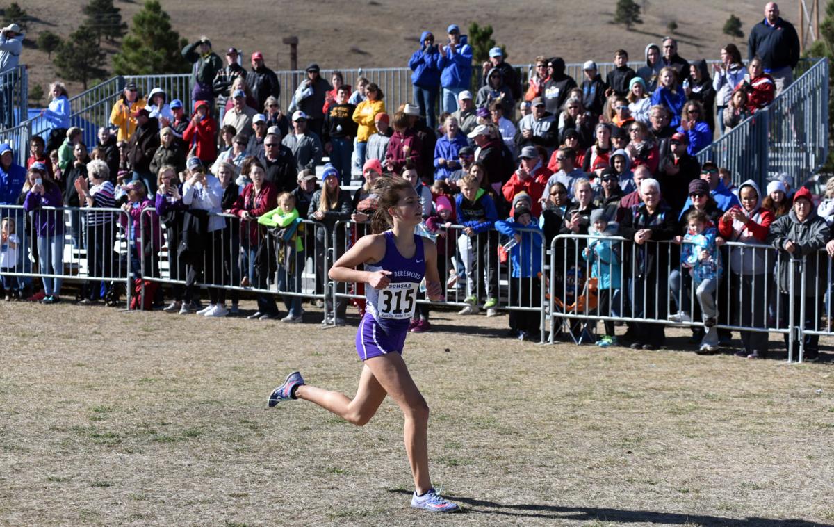Area Runners Shine At State Cross Country Meet Sports