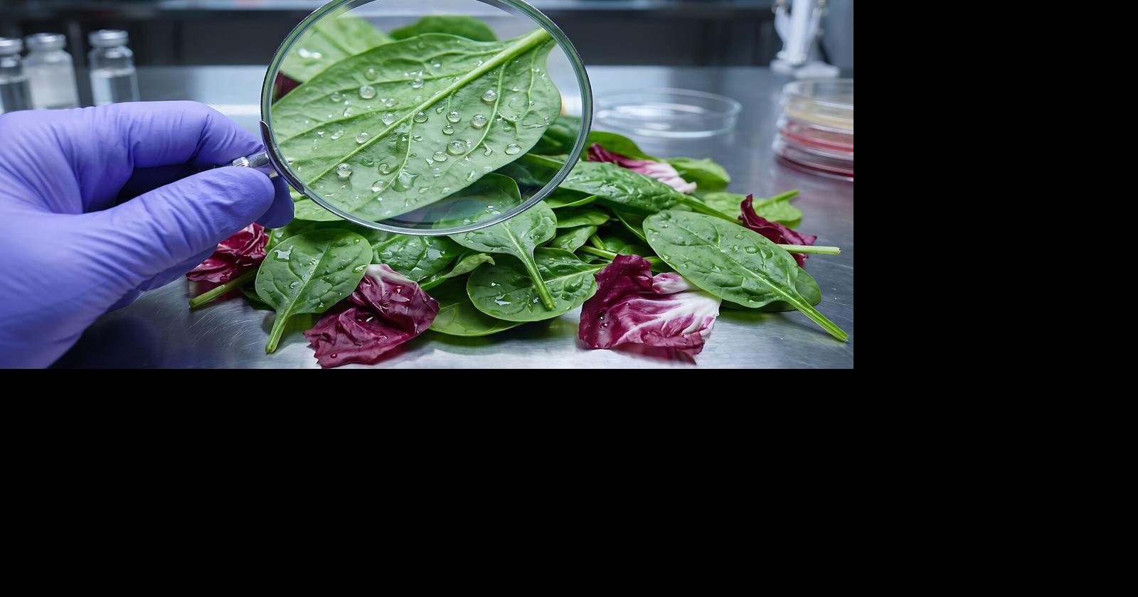 Region Health Officials Keep Tabs On Food Parasite