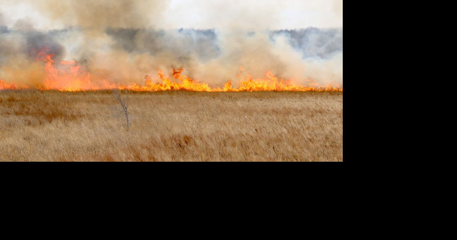 Update: Fire Weather Watch Issued For Area