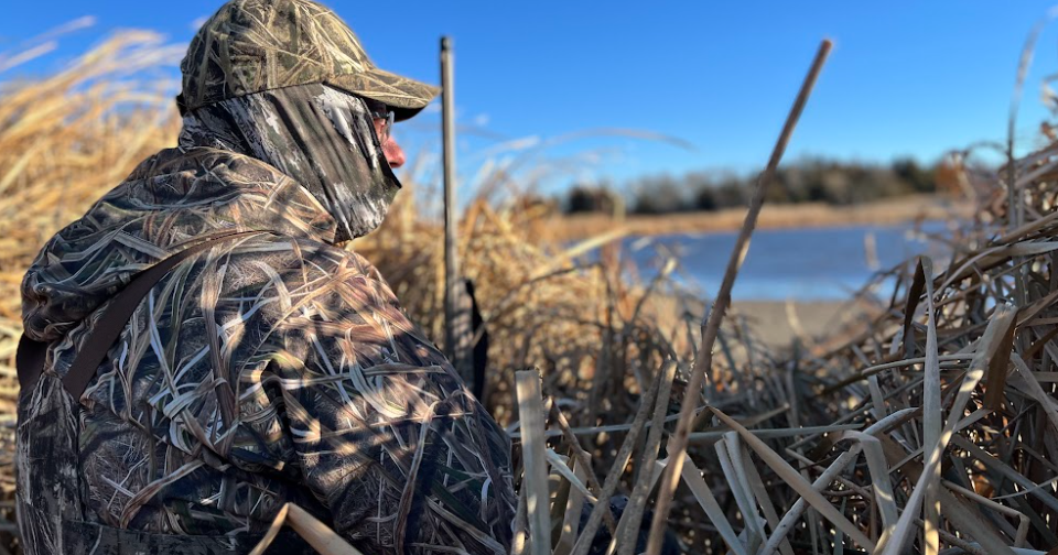 Opponents Convince SD Commission To Scale Back Expansion Of Out-Of-State Duck Licenses - Vimarsana News