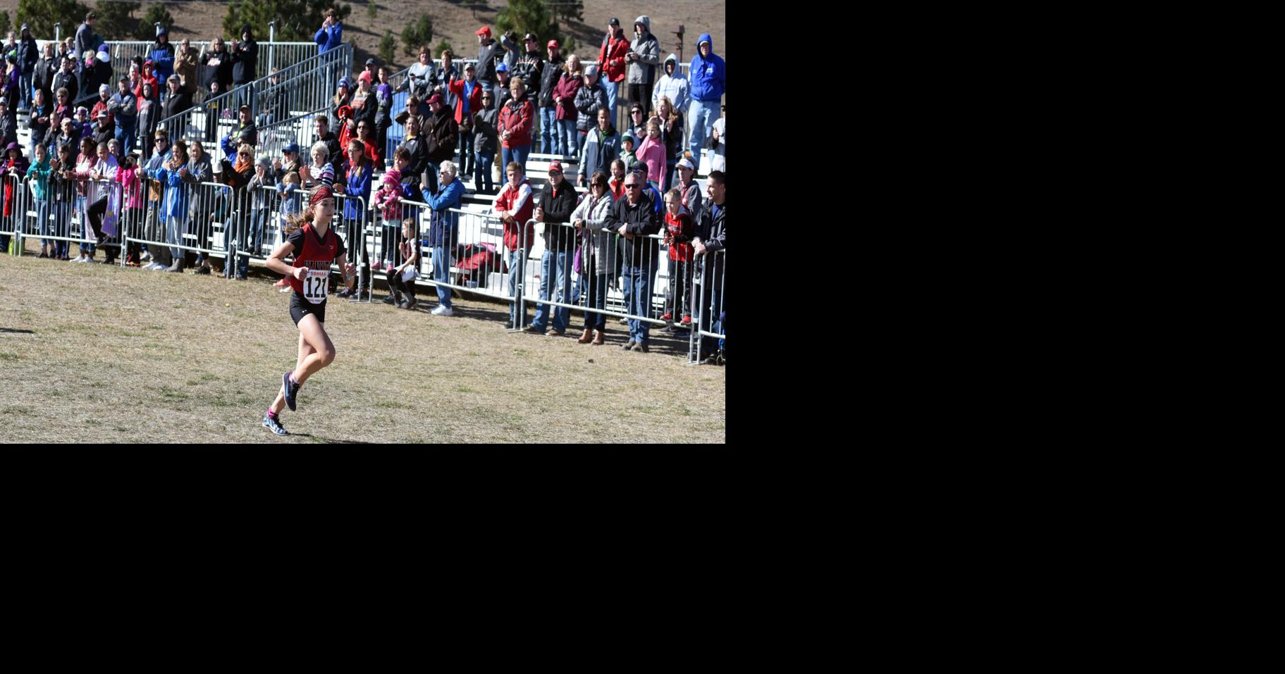 Area Runners Shine At State Cross Country Meet | Sports | yankton.net