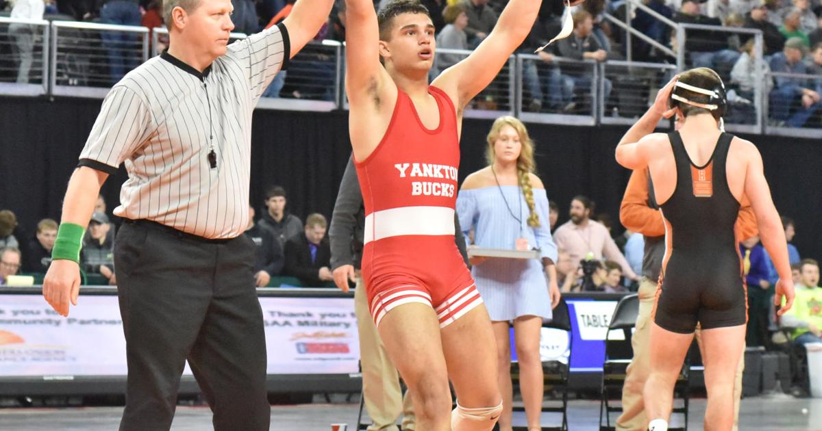 Saturday's Results From 2018 S.D. State Wrestling Tournament, Sports