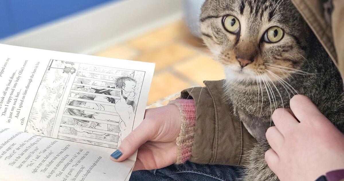 Well Read: ‘Book Buddies’ Program Connects Pets And Kids At HHS ...