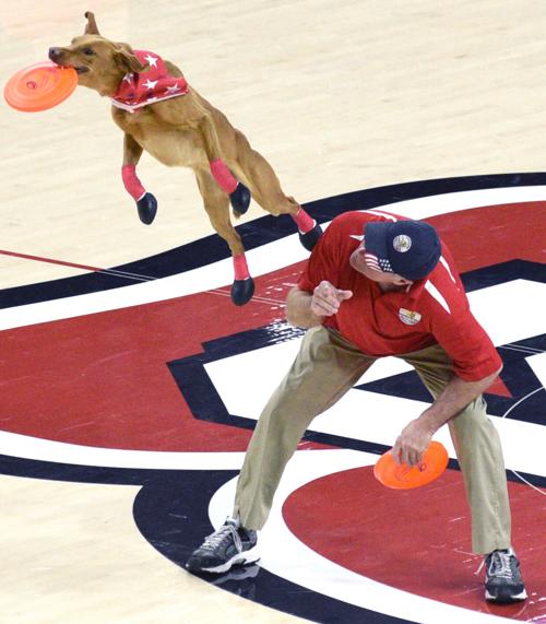Canine Catch