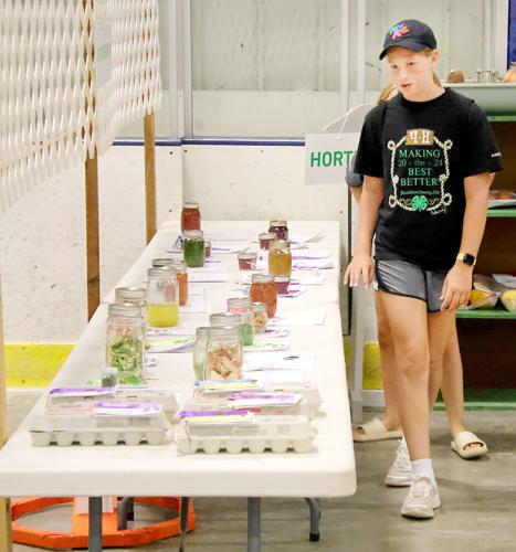 Fair Food | Community | yankton.net