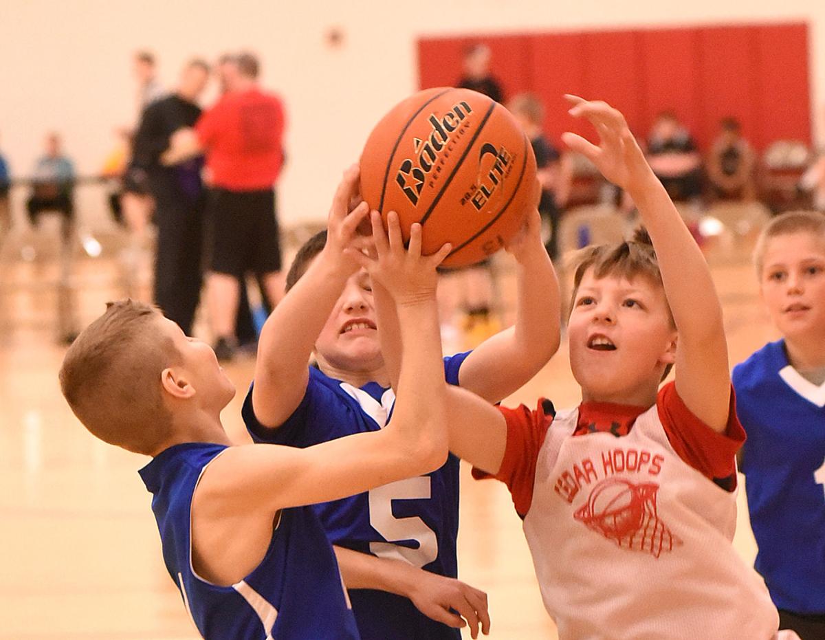 Eleven Champions Crowned In 29th Hansen Haas Tournament Sports