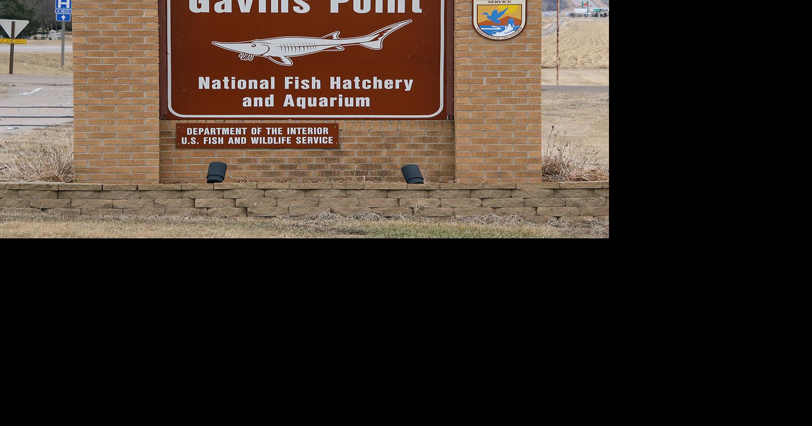 Fish Hatchery Friends Group Establishes Annual Scholarship Community