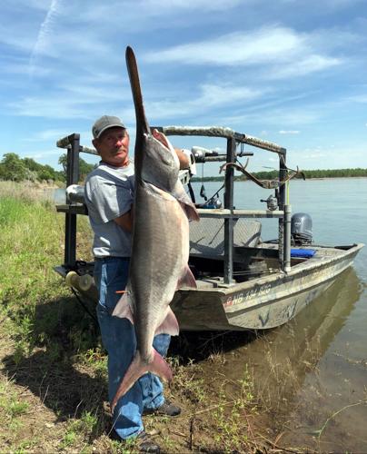 Wisconsin lake yields prized sturgeon, if you can spear it