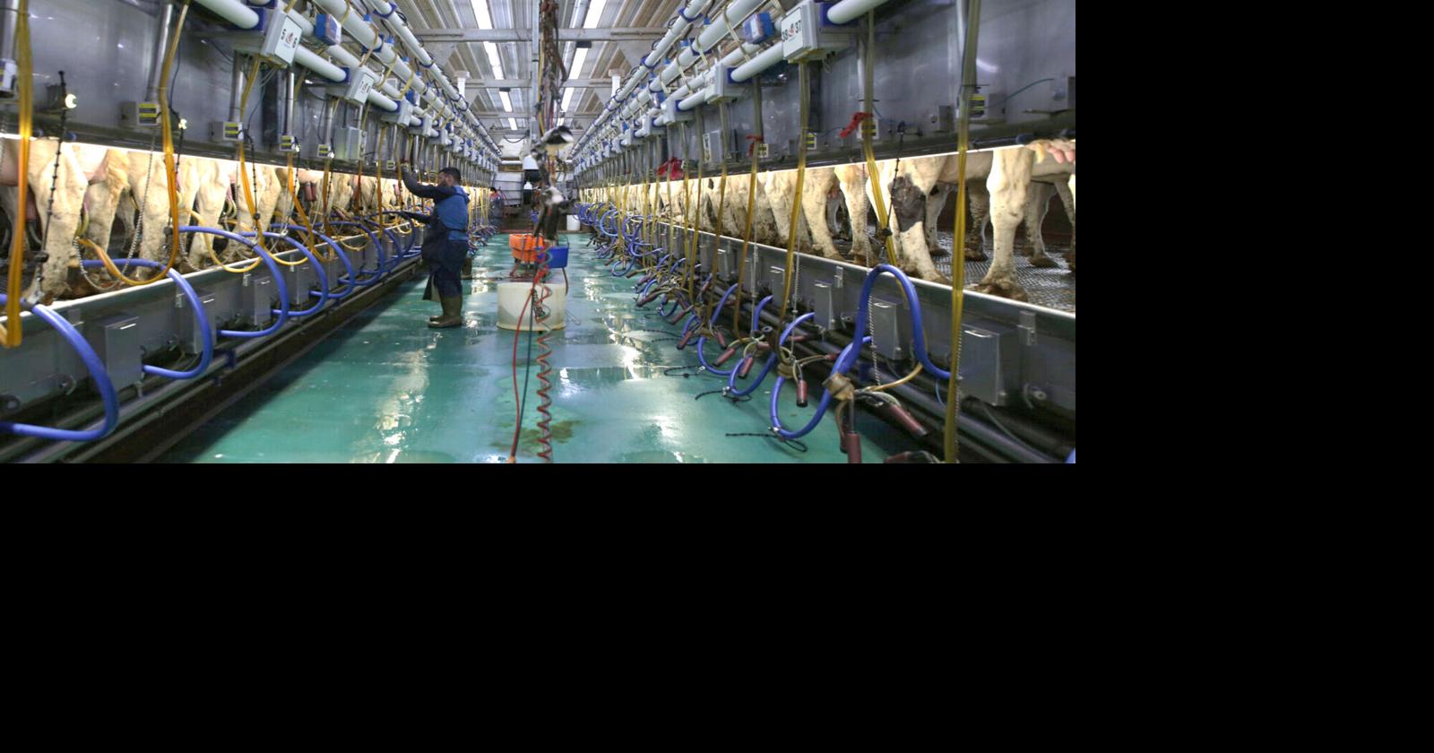 Not All SD Livestock Operations Have To Manage Waste Equally