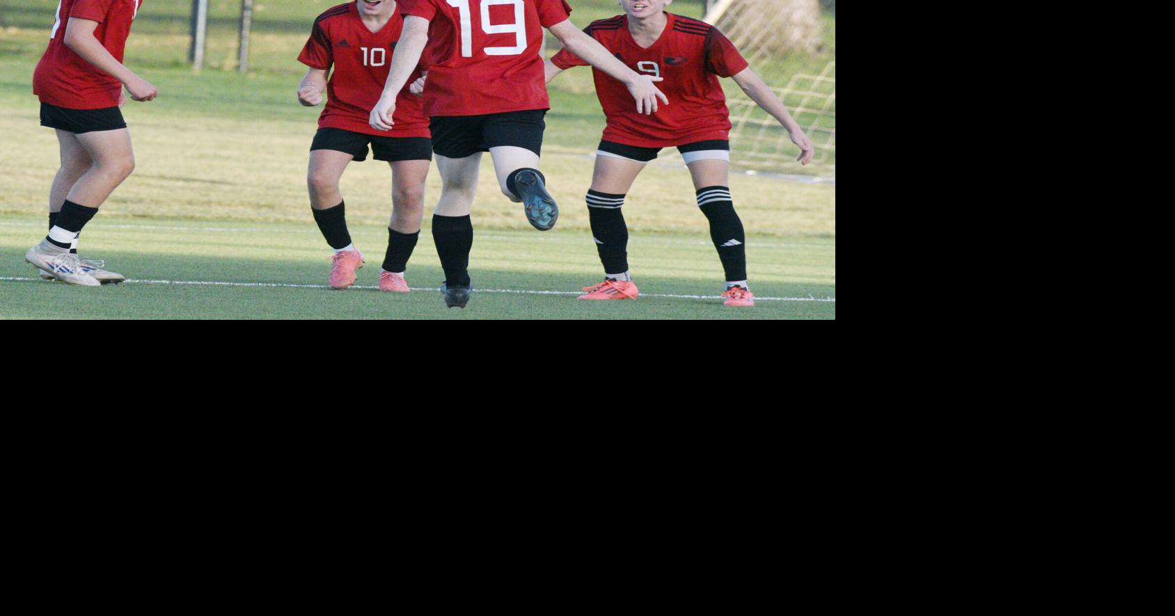 Vikings, Vermillion Cap Exciting Day Of Soccer Sports