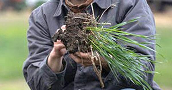 Down And Dirty: Yankton Seed Library Class To Tackle Soil Health - Vimarsana News