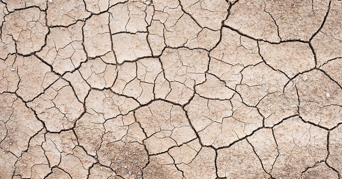 Drought Conditions Are Expected To Persist Through Summer