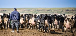 E-Verify Requirements Draw Business Pushback In Some Republican States