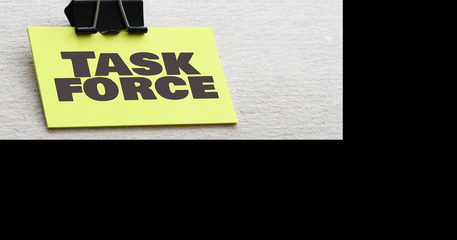 County Task Forces Give Updates