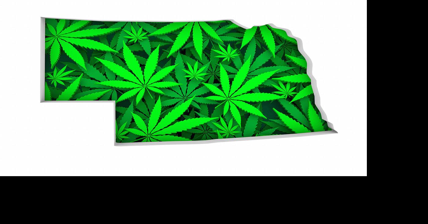 Nebraska Commission Greenlights Marijuana Being Legally Planted Within The State
