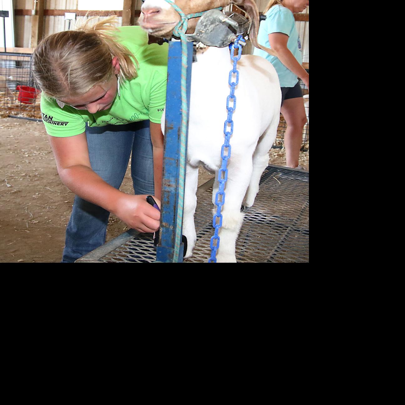 Sale Garage & Yard Sales