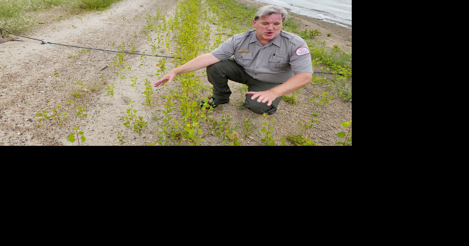 Corps’ Annual Vegetation Management Set To Start Soon On Missouri River Sandbars