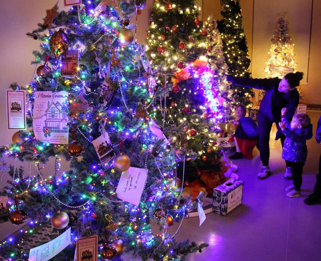 A TreeMendous Display Community