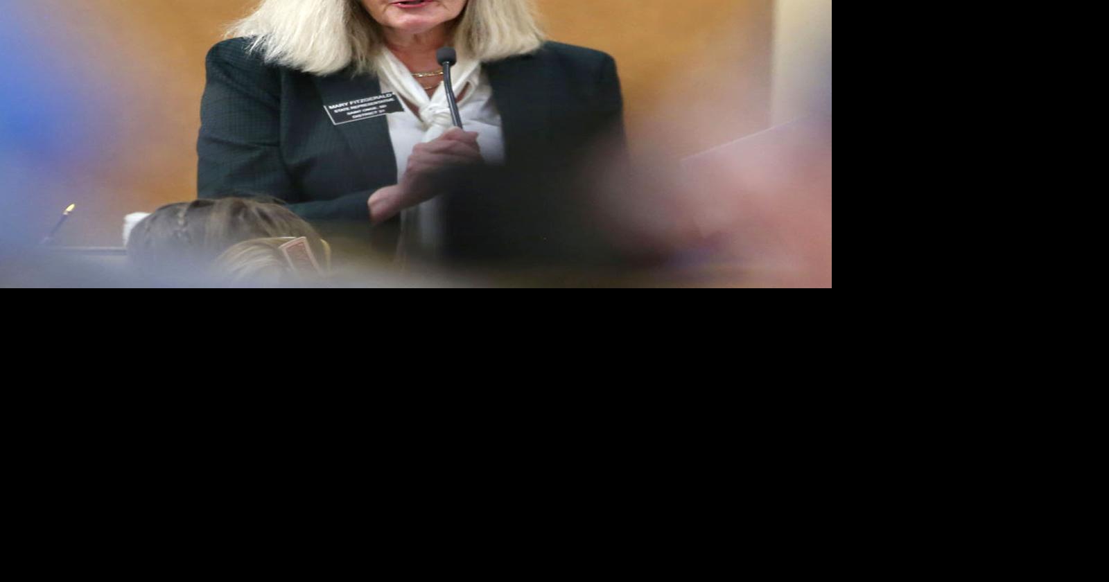 South Dakota NewsMedia Association To Recognize Lawmaker For Her Open Government Efforts